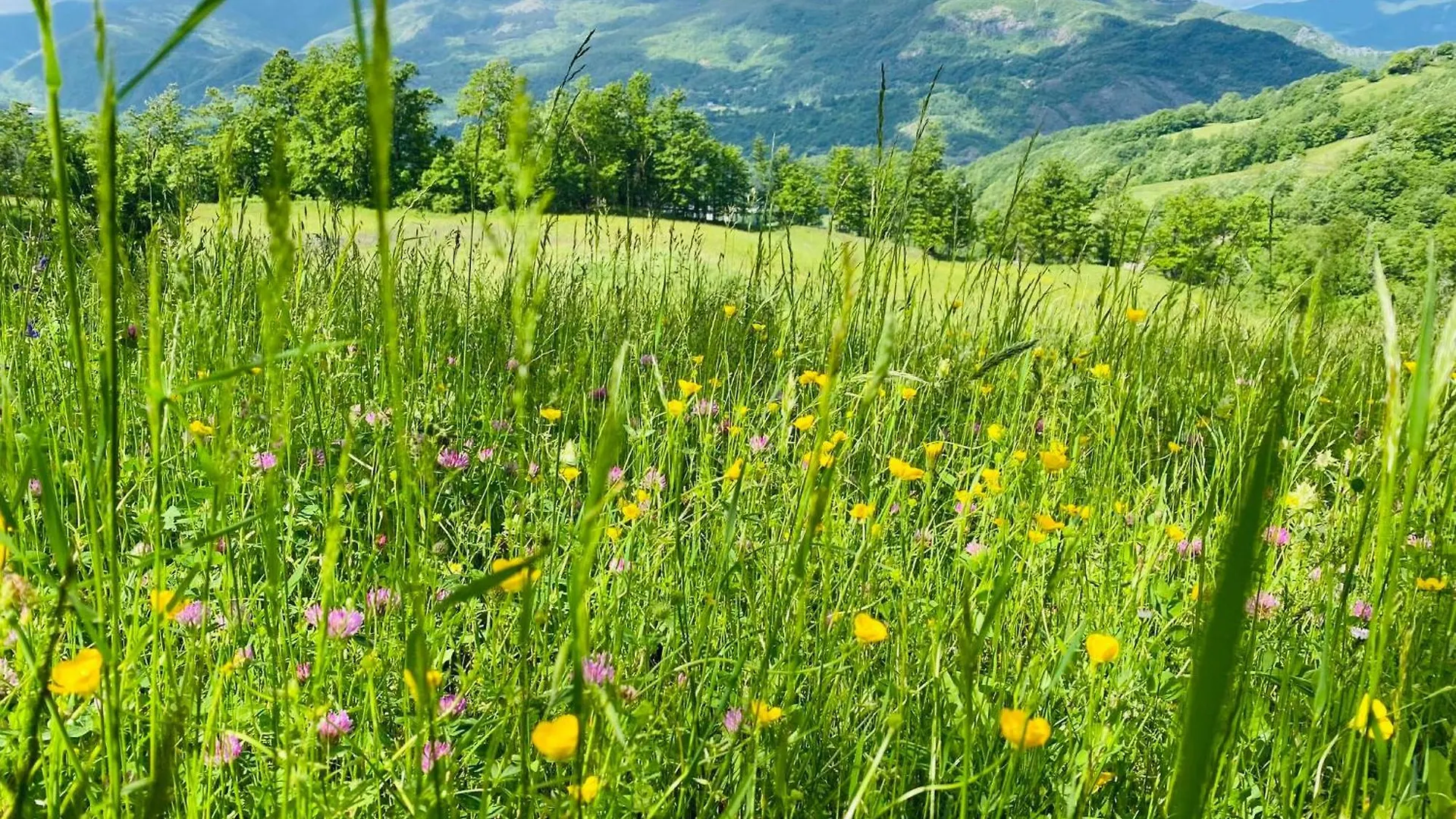فندق مبيت وإفطار مبيت وإفطار بيرسيتو La Lupa E L'Orso إيطاليا